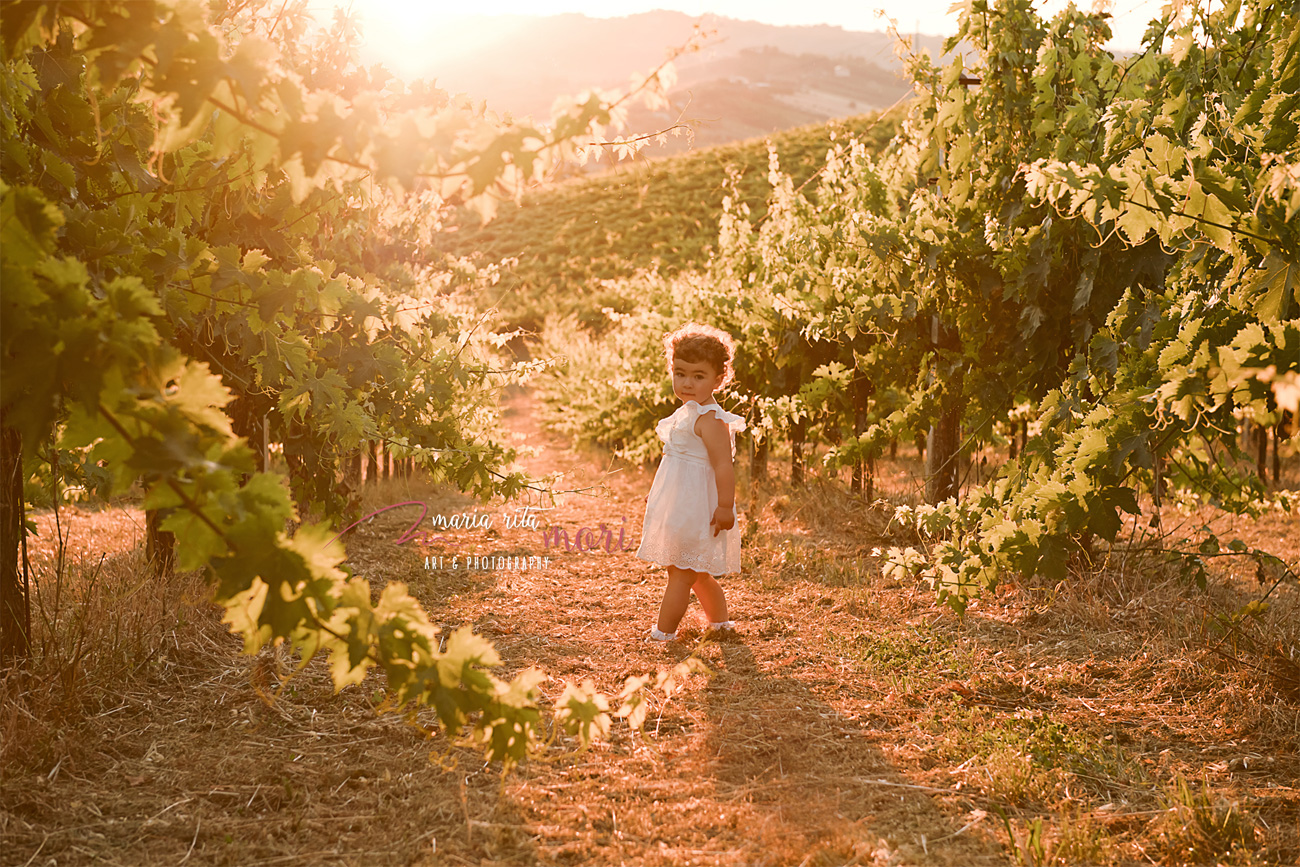 bambina al tramonto tra le vigne