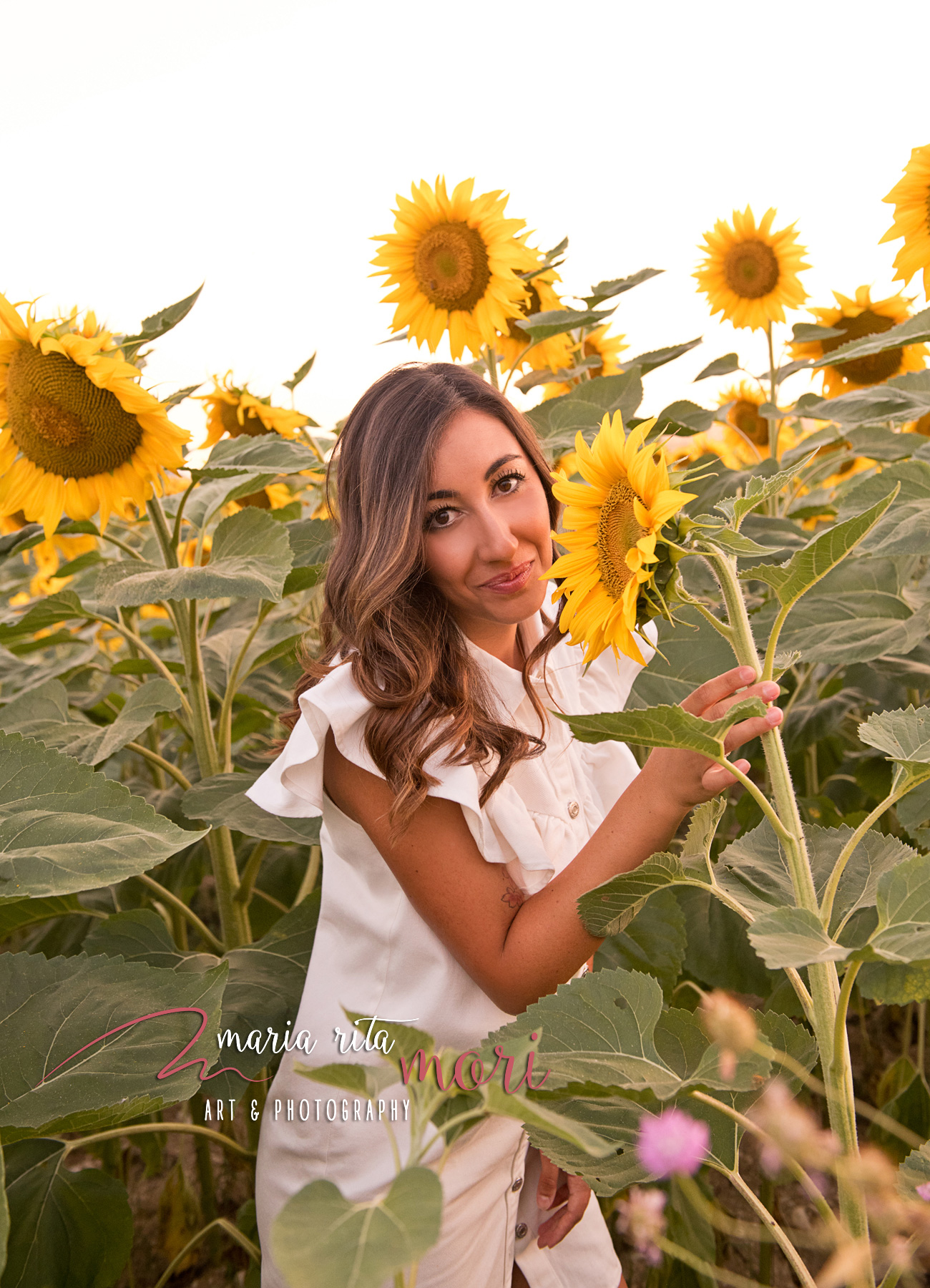 Ragazza Girasoli Marche