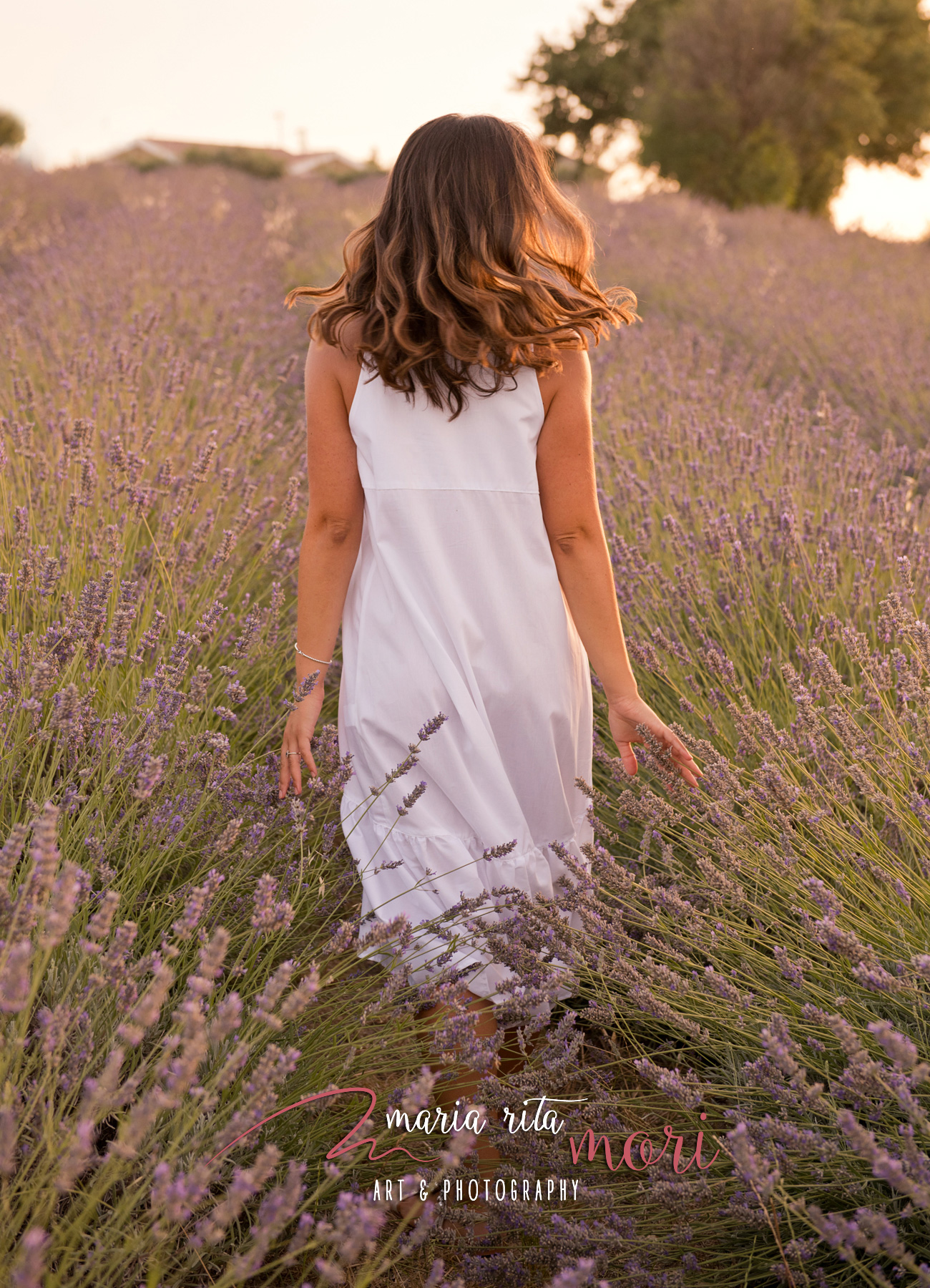 Ragazza Lavanda Marche